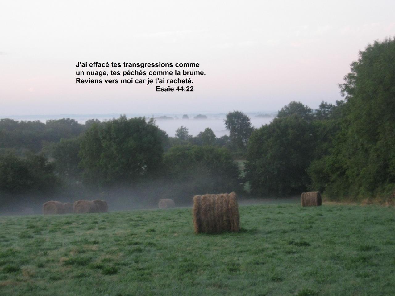 j'ai effacé tes transgressions...